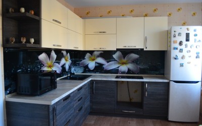 Кухня с фотопечатью